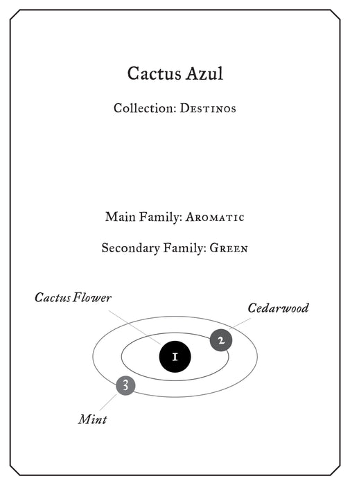 Cactus Azul